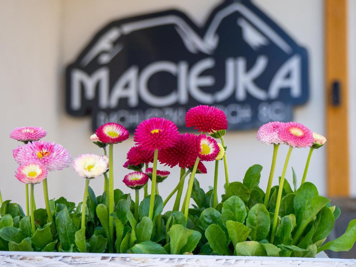 Frühstückspension Maciejka Odkryj